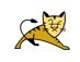 Tomcat