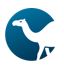 Perl